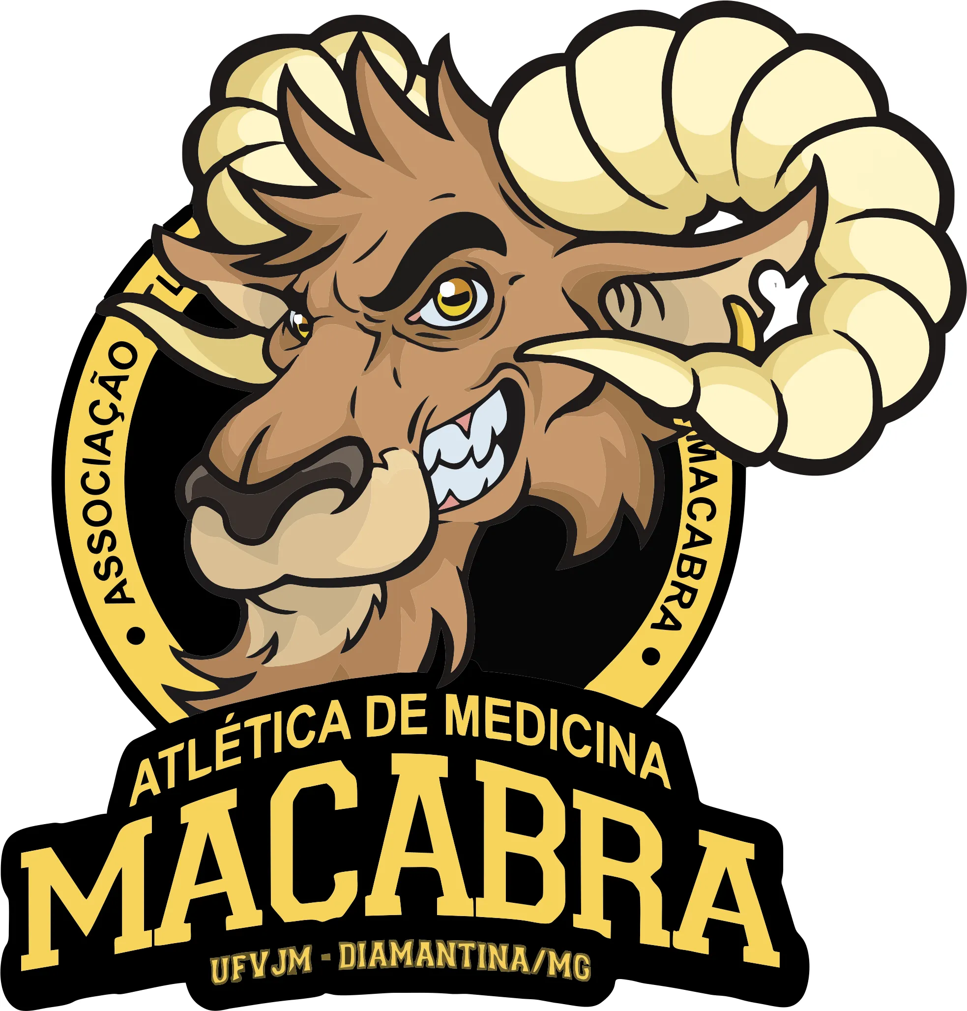 MED UFVJM MACABRA_27_11zon