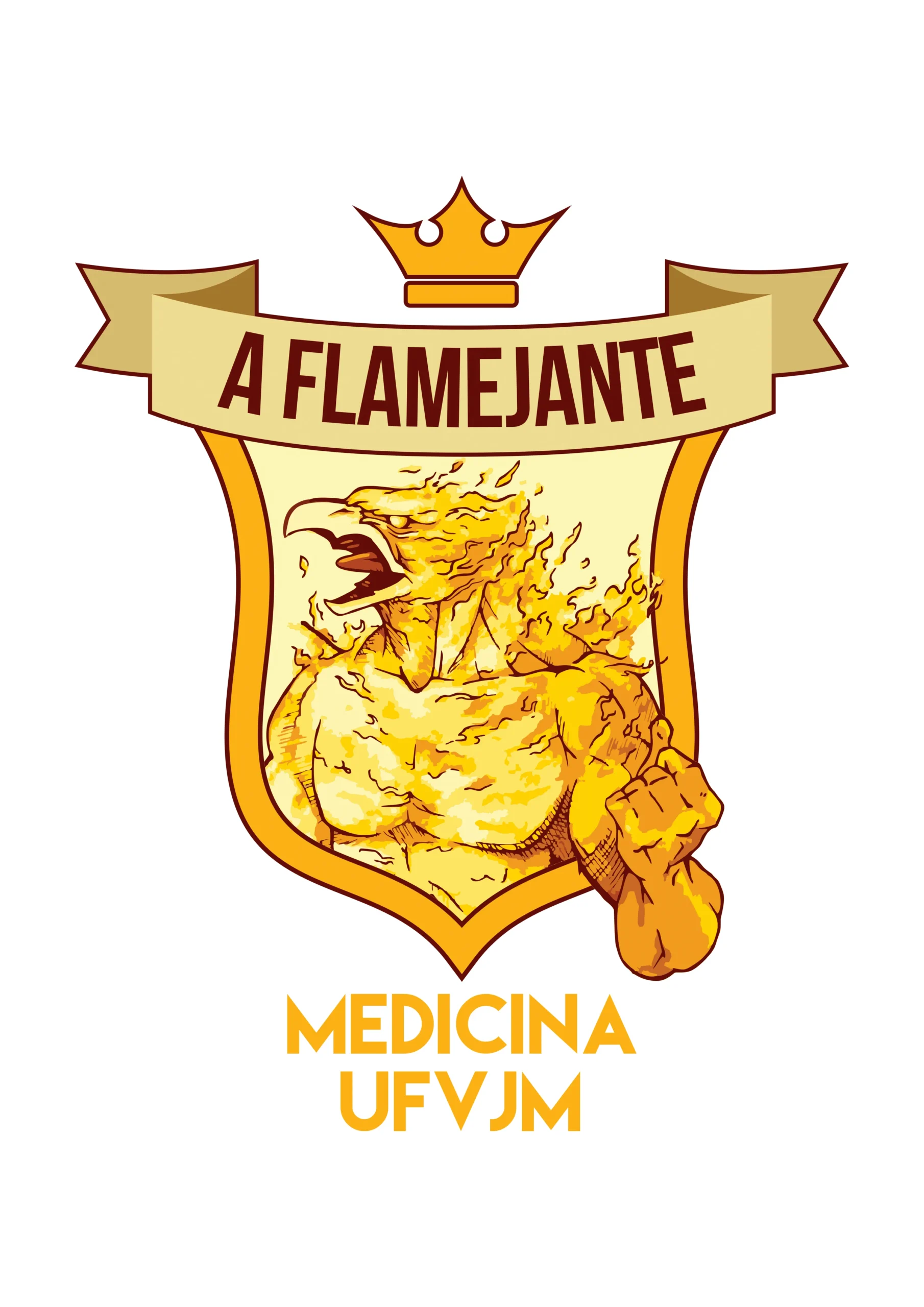 MED UFVJM-TO - FLAMEJANTE-1_28_11zon