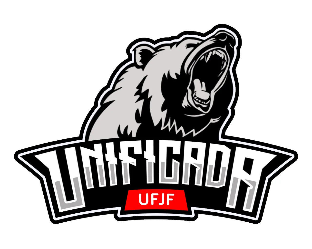 UNIFICADA UFJF_49_11zon